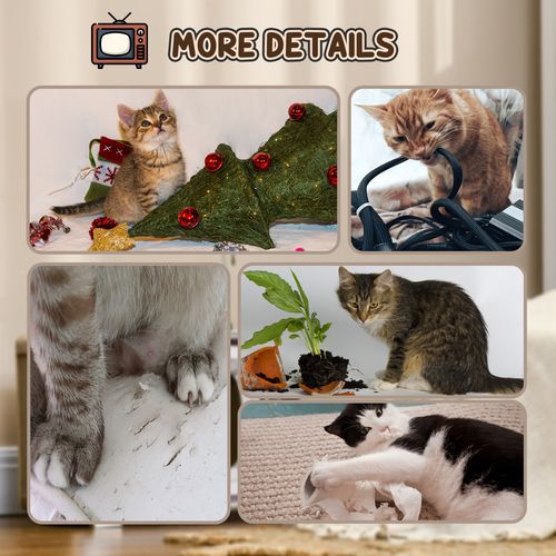 https://images.avasam.com/?url=https://avasamnew.s3.amazonaws.com/live//996867fa-ca50-4cea-a3e4-7294e3c16649.png&w=500