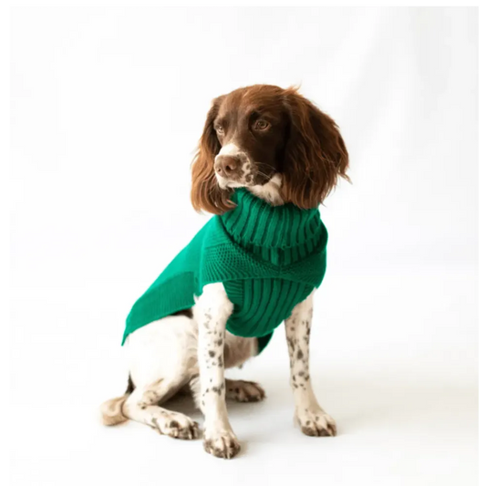 The Jazz Dog Jumper - Contemporary Cable Knit Design in Green